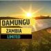 Venture Profile Damungu Zambia Limited image of N