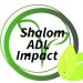 Venture Profile Shalom ADL Impact image of P
