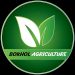 Venture Profile GIE Bokhol Agriculture image of 