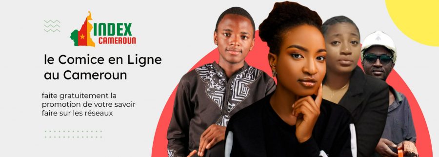 Cover image of Index Cameroun, Arts venture on VC4A