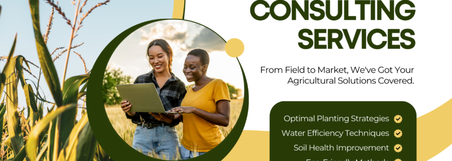 Cover image of Welo Ranch (U) Ltd, Agroindustria venture on VC4A
