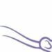 Venture Profile Hippo Tooth image of Logo
