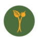 Venture Profile ForestFoods image of Screenshot At