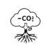 Venture Profile Rootsandcarbon image of Picture