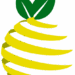 Venture Profile Magic Citron image of Logo Magic Removebg Preview