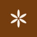Venture Profile Miskka Organics image of Miskka New Logo