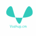 Venture Profile Voshup image of Logo Voshup