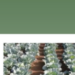 Venture Profile Guinée-Agri-Med image of 
