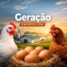 Venture Profile Geração Calueio Lda image of 