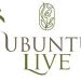 Venture Profile Ubuntulive (PTY) LTD image of OCAI Copy Copy