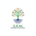 Venture Profile Geni Stratégie Consulting image of Image