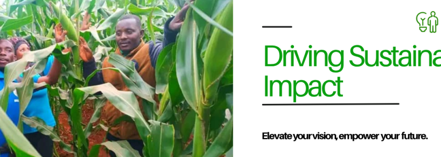 Cover image of Design Thinking LAB, Agritech venture on VC4A