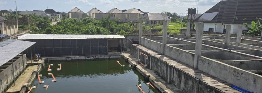 Cover image of Fish Intensive Supply House SCGES Bio-Tech Pilot, Agribusiness venture on VC4A