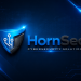 Venture Profile HornSec Cybersecurity Solutions image of Mine Kii