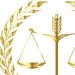 Venture Profile DCM LEGAL and Judicial Corporate Company.srp image of IMG
